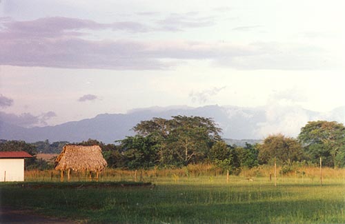 View from the Outskirts of David